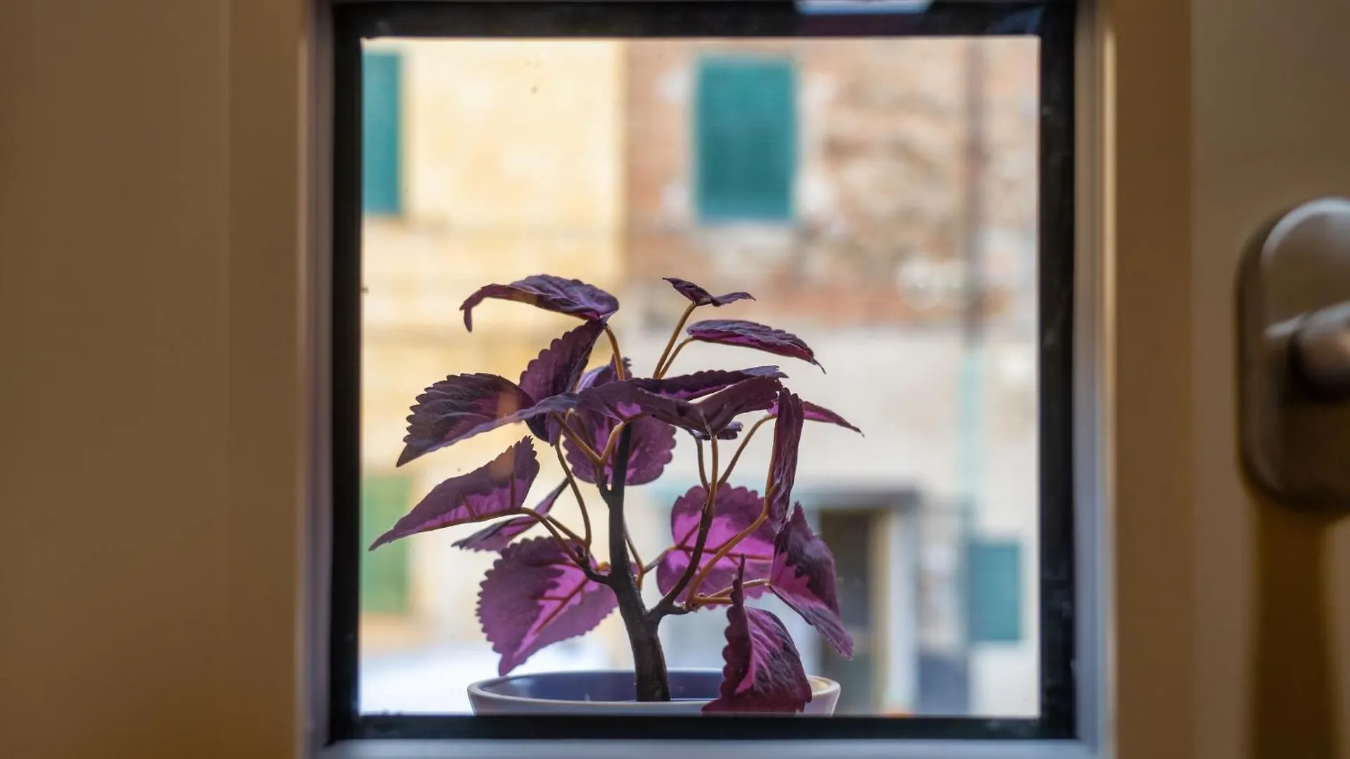 Casina Rossa Apartment Peccioli 0*,  Italy